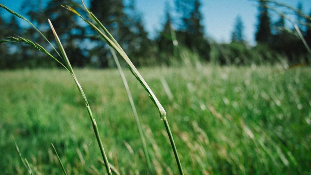 Anasayfa 18 1200x675 1