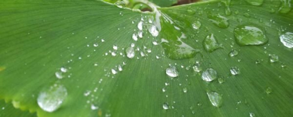 kapak-otopratik-hizmetleri