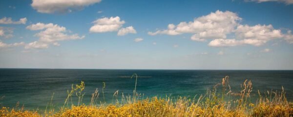 kapak-arac-egzoz-muayenesi