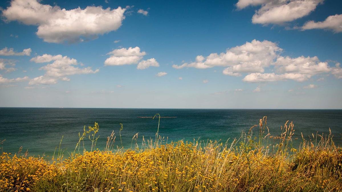 Araç Egzoz Muayenesi 717 1200x675 1