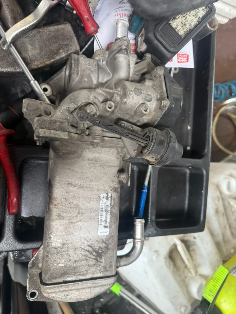 Galeri 116 Galeri garaj68 116