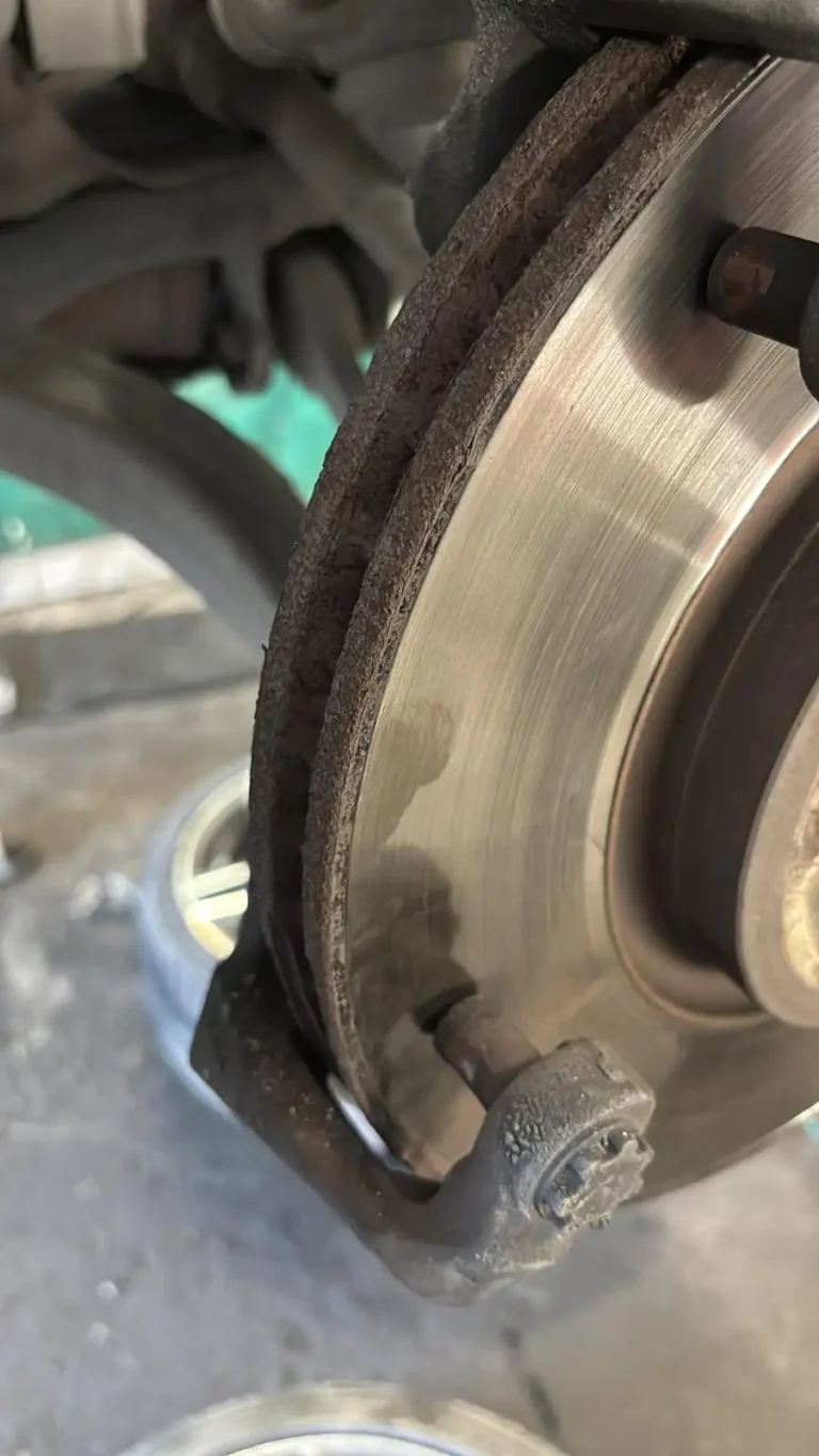 Galeri 81 Galeri garaj68 81